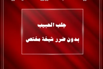الشيخة أم سميع الكوفية – جلب الحبيب بدون ضرر شيخة مختص – ruhania.online